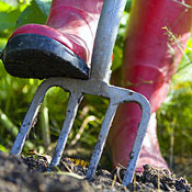 Soil Testing for Lawns and Gardens